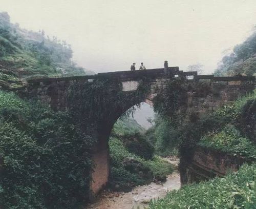 無(wú)伐橋