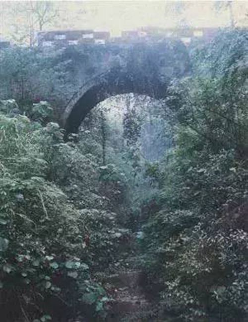 無(wú)暴橋