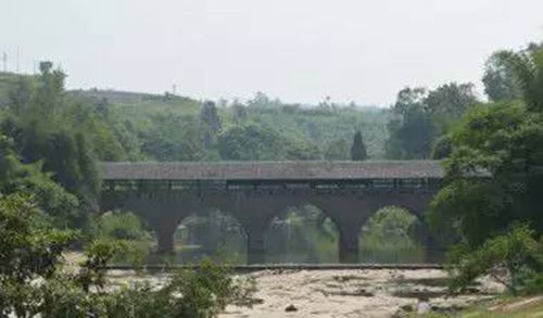 合川五星橋 