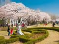 大自然的恩賜——韓國(guó)首爾兒童大公園