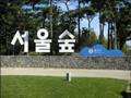 韓國首爾的“中央公園”——首爾林