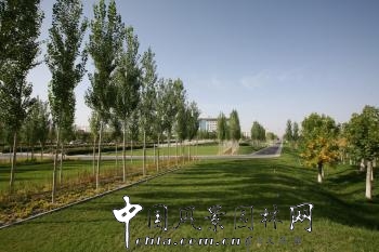 章俊華：新疆巴州和碩政府廣場
