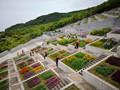 參觀大師安藤忠雄作品 考察大阪住宅與商業(yè)建筑