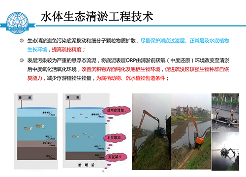 張飲江教授：水質生態修復景觀構建