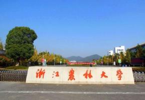 浙江農(nóng)林大學：用藝術(shù)助力鄉(xiāng)村文化振興