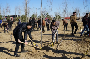 河北：今年計劃完成城市植樹1000萬株