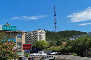 山東建