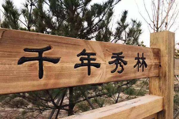 雄安千年秀林今年增綠10萬畝 起步區(qū)建綠谷景觀