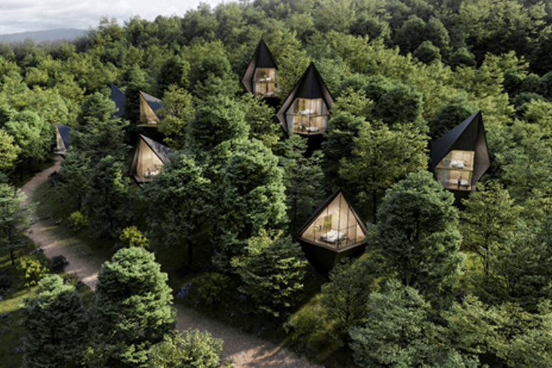 樹(shù)之屋Tree Houses
