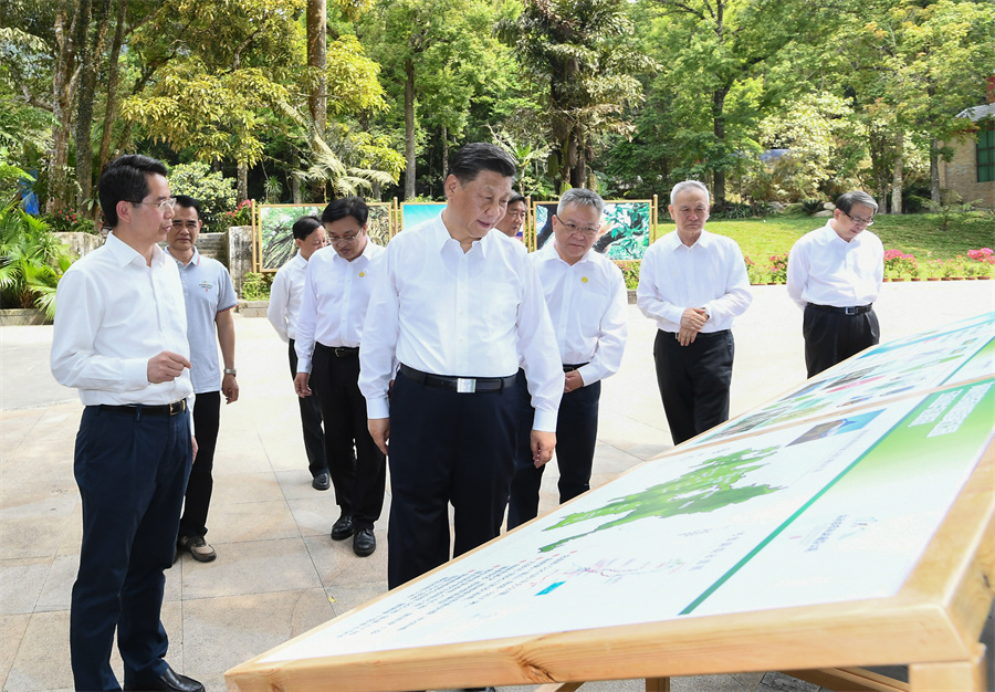 習近平考察海南熱帶雨林國家公園