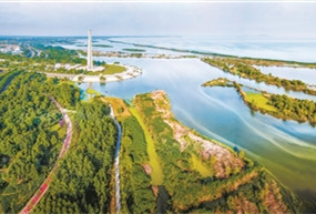 安徽全面建成環巢湖十大濕地