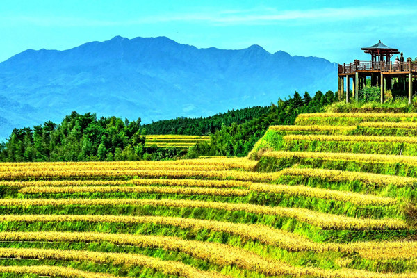 我國(guó)新增4處灌溉工程遺產(chǎn) 聚傳統(tǒng)智慧顯生態(tài)價(jià)值