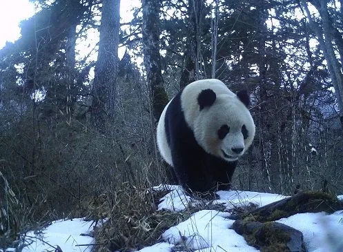 我國獲得第五屆世界生物圈保護(hù)區(qū)大會承辦權(quán)