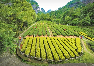 專家相聚武夷山探尋國家公園高質(zhì)量發(fā)展之路