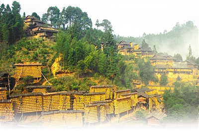 農(nóng)業(yè)文化遺產(chǎn)——為保護(hù)生物多樣性貢獻(xiàn)中國智慧
