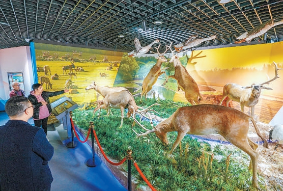 南海子麋鹿苑博物館講述野生動物保護中國樣板