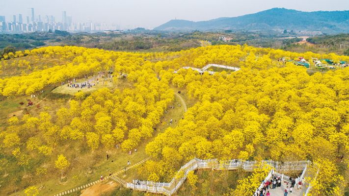 南寧積極探索“公園＋”模式構建生態(tài)美麗宜居綠城