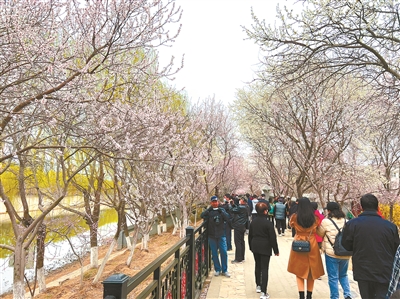 天津第32屆運河桃花節舉辦
