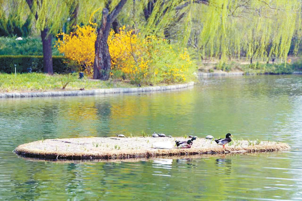 北京海淀：生態代碼寫入創新程序