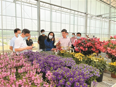 花卉產業發展的活力與美好