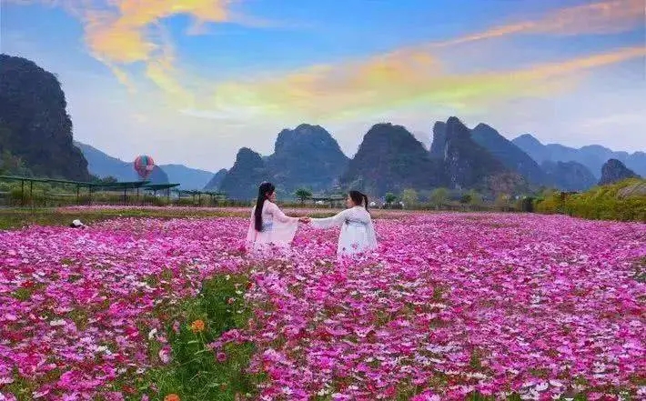 發展賞花游，還得算好生態賬