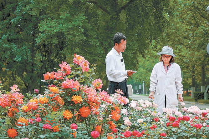 北京：10個“市花”新品種邀您命名