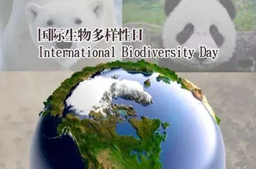 為什么要攜手保護生物多樣性？