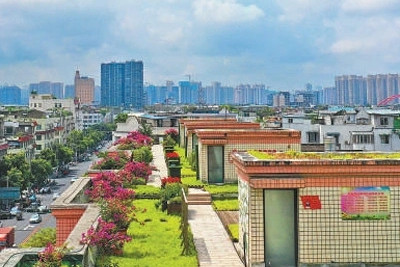 成都天府新區：讓公園城市有機生長