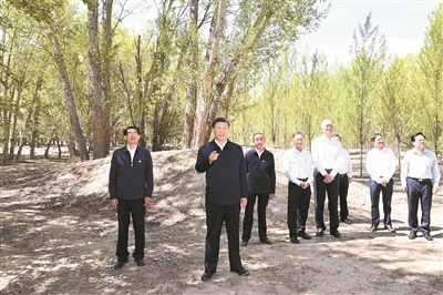 習近平：創造新時代防沙治沙新奇跡