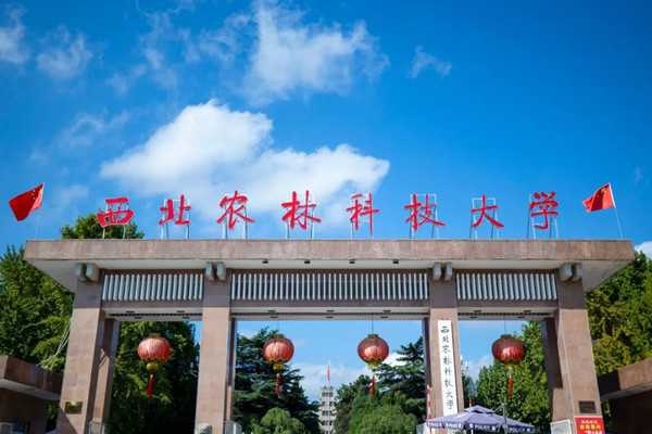 西北農林科大風景園林藝術學院男生偷拍女廁被拘