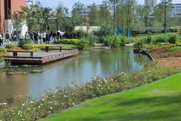 上海“千園工程”讓公園與城市無界共生