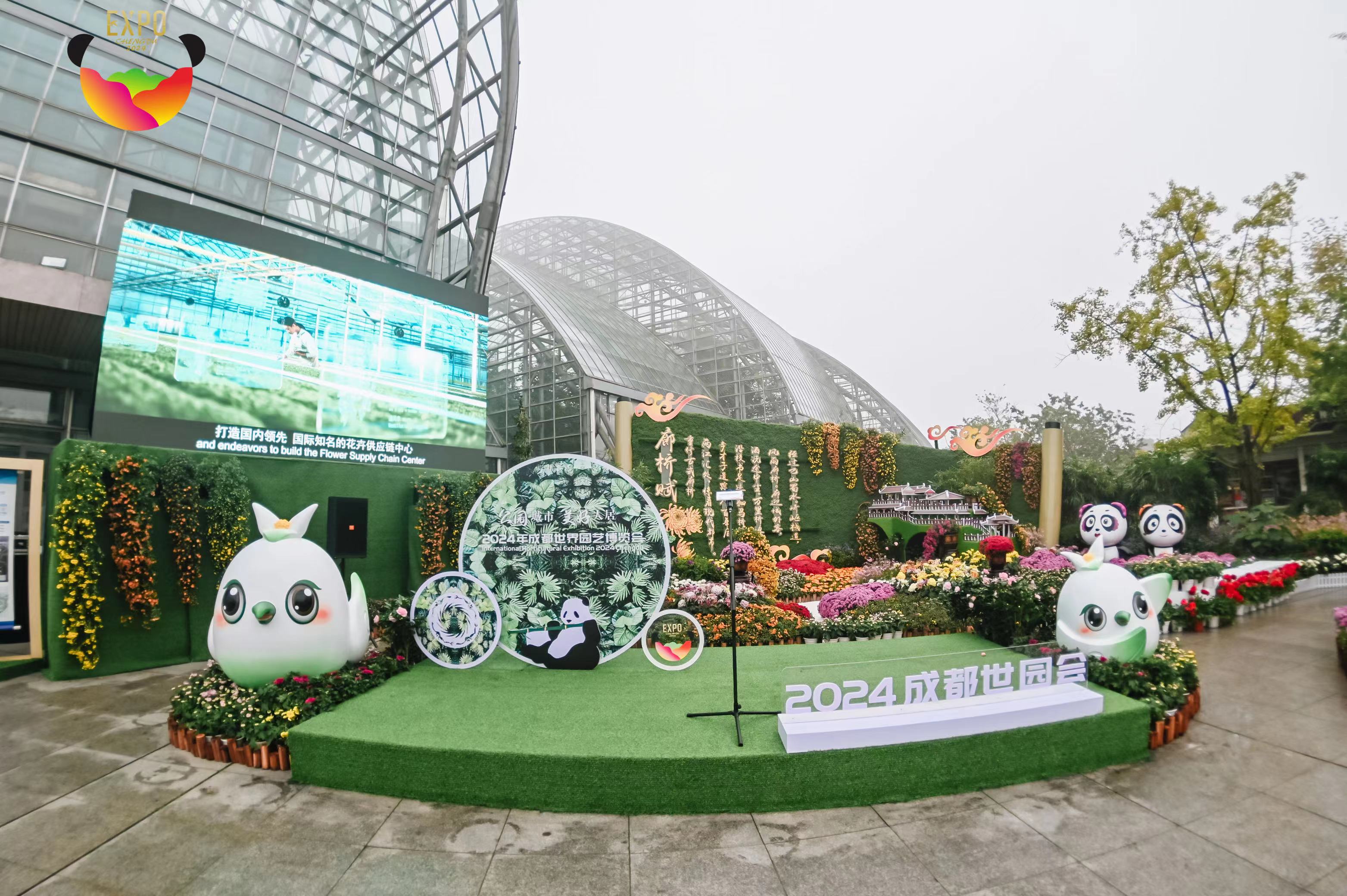 成都世園會亮相重慶菊展 成渝雙城再續綠色情緣