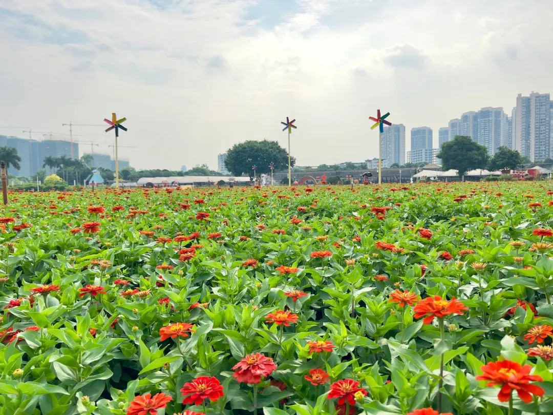 廣西：探索“公園+”新模式，共享城市綠意