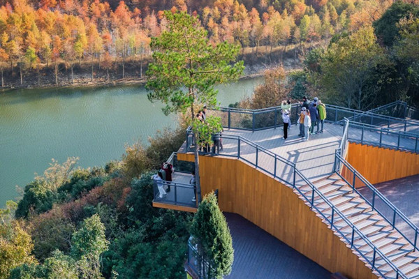 現(xiàn)工設計丨落羽杉濕地公園