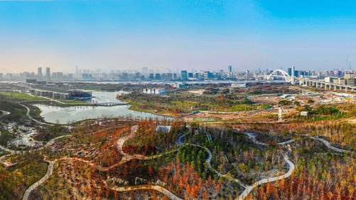 上海：計劃新增120座城鄉公園 城市公園全天開放