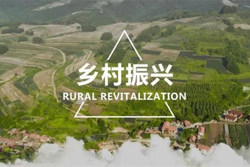 代表委員熱議有力有效推進鄉村全面振興