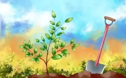 關(guān)于全民義務(wù)植樹(shù)，你知道嗎？