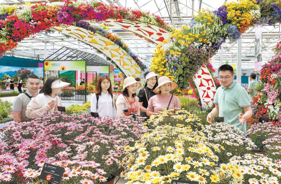 北京：19種新品花卉首發亮相春季花展