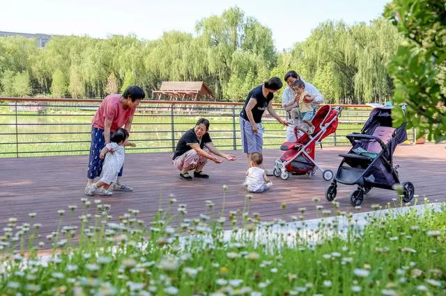 北京市綠隔公園改造提升見成效 打造自然課堂
