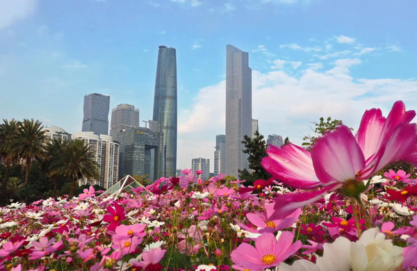 廣州打造國際一流花卉產業高地