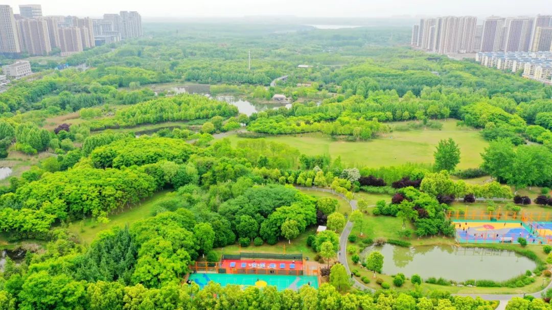 安徽加快推進高品質(zhì)城市公園建設(shè)