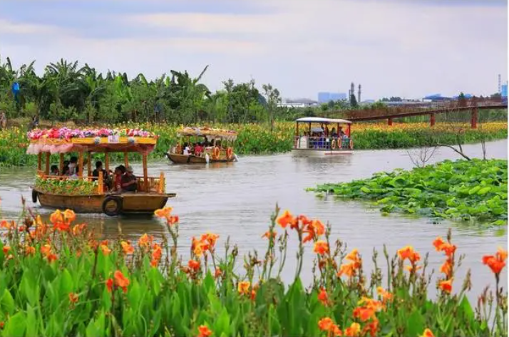 廣東：濕地公園活動不斷上線 濕地旅游持續升溫