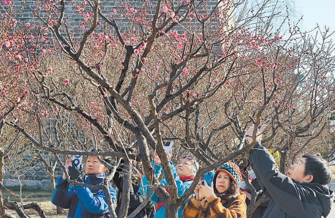 北京已有公園1100個(gè) 三分之二無(wú)界融通