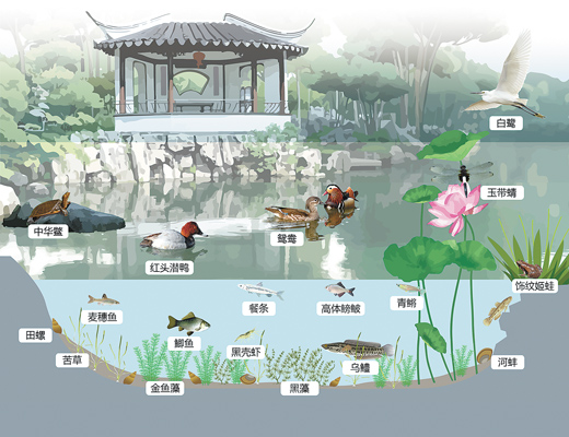 蘇州園林，何以展現(xiàn)生態(tài)意境？