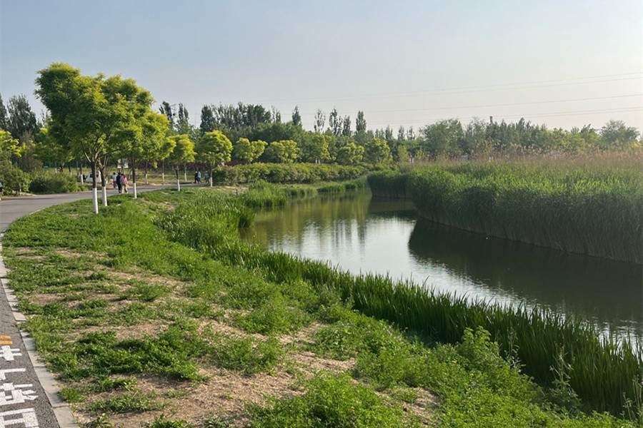 走近北京溫榆河公園：城市公園為何留“荒野”？...